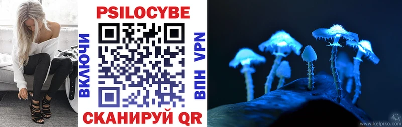 Псилоцибиновые грибы Cubensis  купить  сайты  Всеволожск 