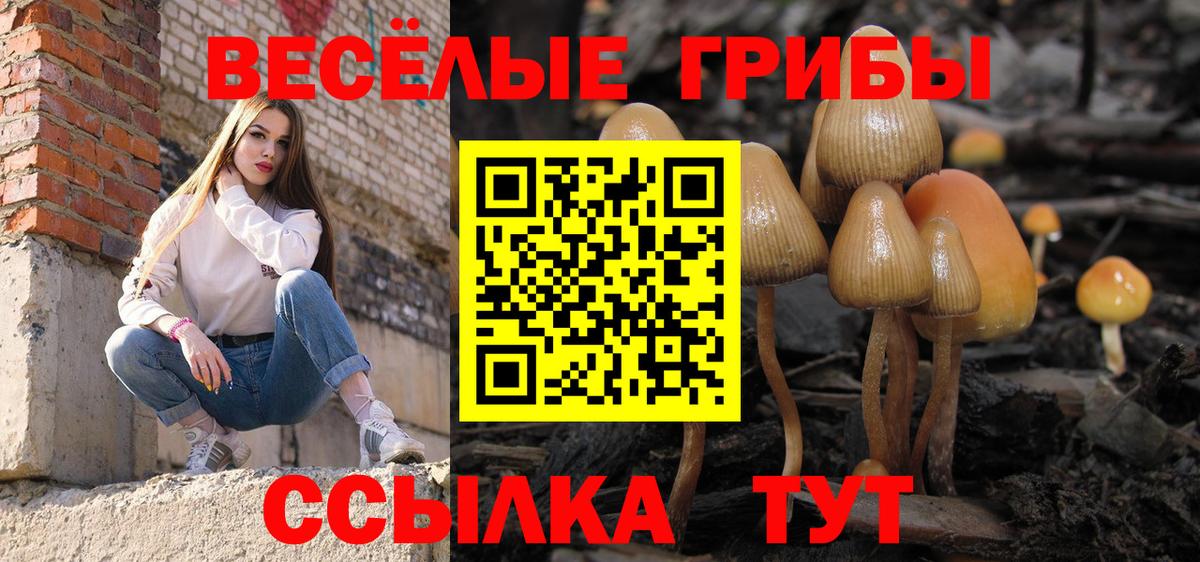 Галлюциногенные грибы мицелий  Вход с VPN  Всеволожск  Псилоцибиновые грибы Psilocybine cubensis 