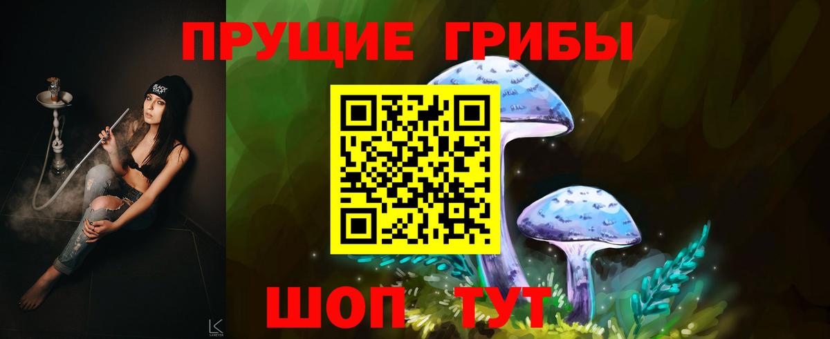 Псилоцибиновые грибы Cubensis Всеволожск
